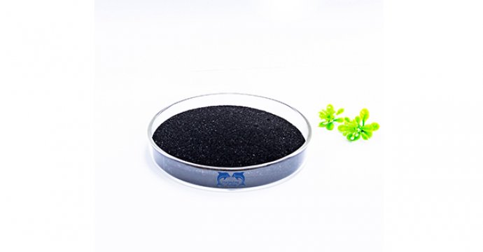 Seaweed Extract Powder