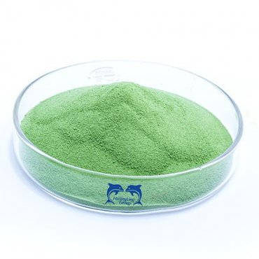 Feed Additives