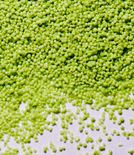 SAM777 seaweed amino acid organic fertilizer 
